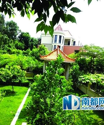 “狗事”引深圳两豪宅业主互揭“官背景”