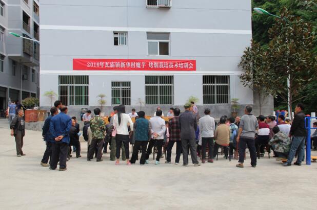 紫阳县红十字会把产业技术送到了农户家门口