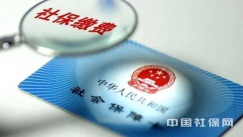 社保中断了该怎么办?小财来支招