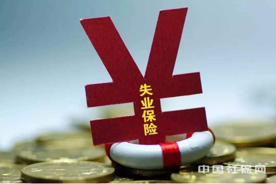 失业保险金领取的最新流程