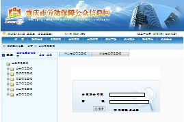 重庆医保卡查询