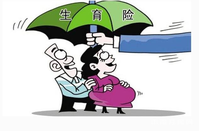 办理生育保险流程