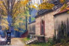 2019Ƹʧҵս±׼ȡ̡Ǯ