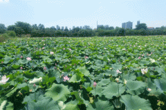 2019Ƹߣô㡢ô졢ȡ