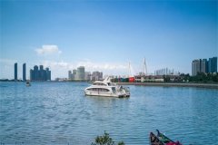 2019������ҽ�Ʊ������¹涨��������Χ���������ɷѱ�׼