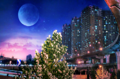 2019֣ݹ˱¹涨⳥׼Χ