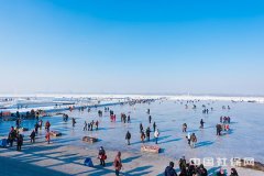 2019�������ҽ�Ʊ������¹涨��������Χ������