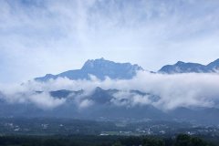 2019갲ʧҵ¹涨ɷѱǮ