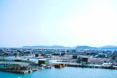 2019ݹ˱¹涨⳥Χ׼