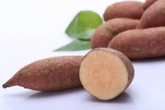 2019ʧҵս±׼ȡ̡Ǯ