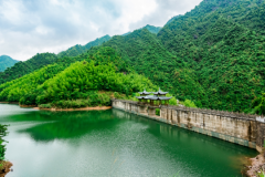 2019긧һ𽻶Ǯ?ͱ׼Ƕ?