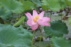 2019껴һ𽻶Ǯͱ׼Ƕ٣