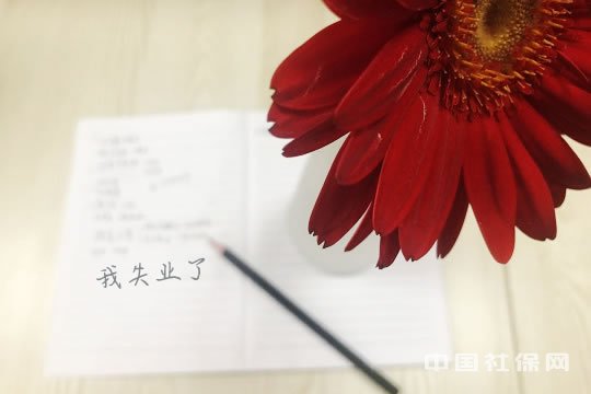 失业保险 失业保险